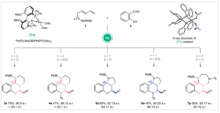 Nat. Chem. | 中國(guó)科大黃漢民教授團(tuán)隊(duì)提出自適應(yīng)動(dòng)態(tài)動(dòng)力學(xué)拆分的新概念