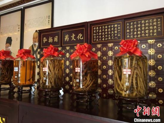 2020年6月，甘肅省定西市渭源縣田家河鄉(xiāng)元古堆村一家中藥材生產(chǎn)加工企業(yè)的藥材展示。 (資料圖) 張婧 攝